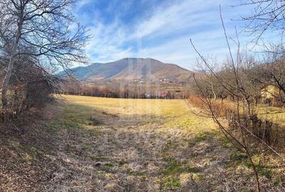 Teren Construcții de 2295 mp, în Rășinari - 7