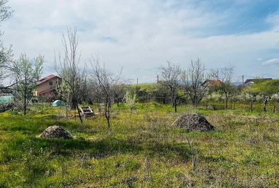 Casă cu 6 camere cu Teren 3576 Mp în Central - 2