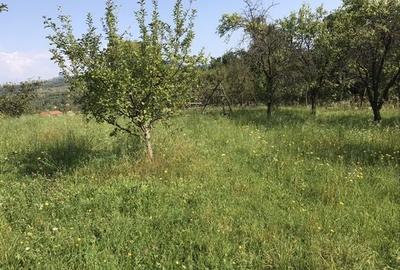 Teren de 14523 mp, în Văleni-Dâmbovița