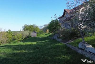 Teren de 4863 mp, în Adâncata - 15