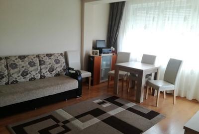 Apartament cu 2 camere semidecomandat în Sinaia - 3
