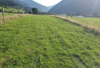 Teren de 5000 mp, în Gura Râului