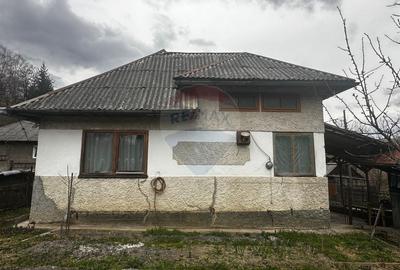 Casă cu 3 camere cu Teren 3440 Mp în Central - 2