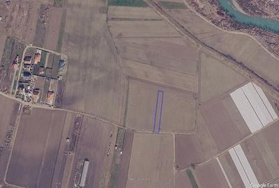 Teren de 1000 mp, în Viișoara - 3