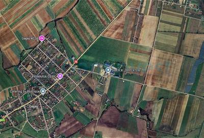 Teren Construcții intravilan de 10000 mp, în Gepiu - 1