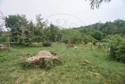 Teren Construcții intravilan de 2240 mp, în Moșoaia - 7