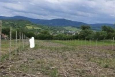 Teren de 2700 mp, în Aghireș - 2