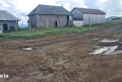 Teren de 470000 mp, în Moisei - 10