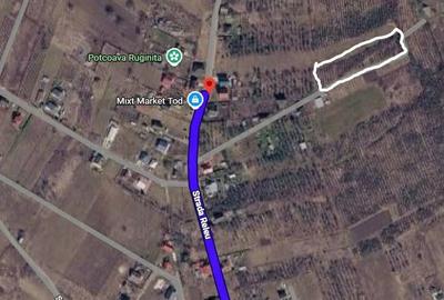 Teren de 1000 mp, în Chicerea