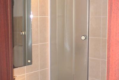 Apartament cu 2 camere decomandat în Calea Dumbrăvii - 5
