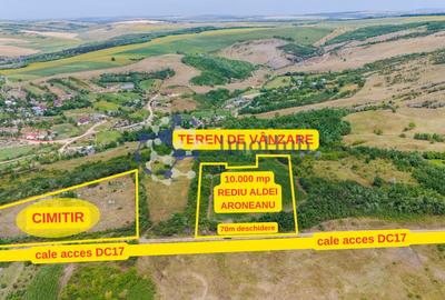 Teren Construcții intravilan de 10000 mp, în Rediu Aldei - 2