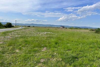 Teren de 3500 mp, în Central - 3