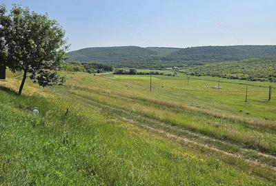 Teren de 7200 mp, în Crețești - 1