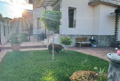 Casă cu 3 camere în Sigmir - 1