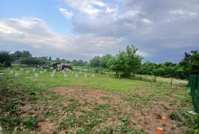 Teren de 496 mp, în Siliștea Snagovului - 1