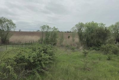 Casă cu Teren 2700 Mp în Dărăști-Vlașca - 5