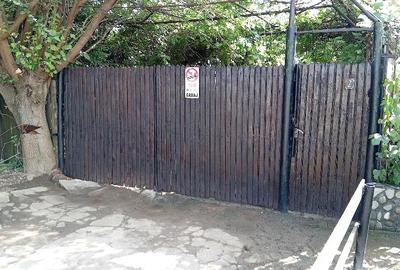 Casă cu 3 camere cu Teren 4000 Mp în Racovița - 1