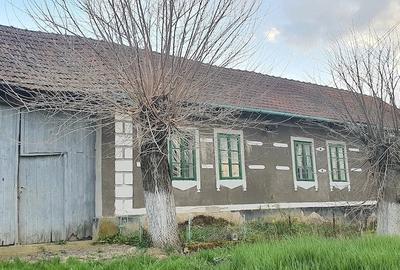 Casă cu Teren 2000 Mp în Valea Mare - 5