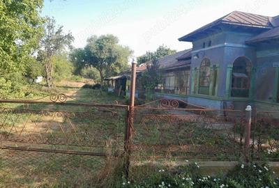 Casă cu 6 camere cu Teren 5000 Mp în Pietroșani - 2