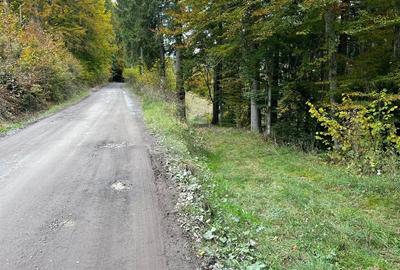 Teren de 5600 mp, în Vărșag - 2