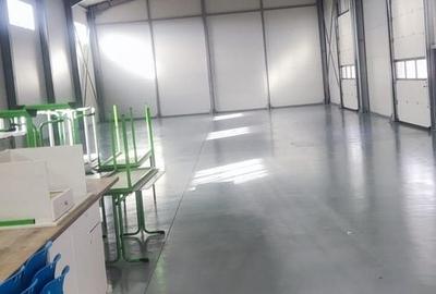 Spațiu industrial, de 240 mp, în Ciorogârla - 2
