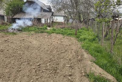 Casă cu Teren 1373 Mp în Prăjoaia - 2