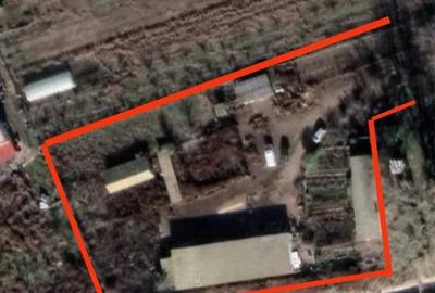 Casă cu 5 camere cu Teren 4500 Mp în Poiana - 5