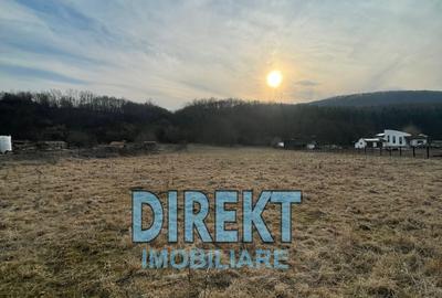 Teren de 2900 mp, în Șieu