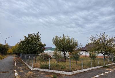 Casă cu 4 camere în Copăcelu