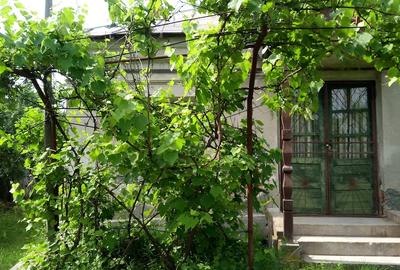 Casă cu 2 camere cu Teren 10000 Mp în Fârtățești