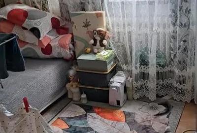 Apartament cu 2 camere decomandat în Tei - 1
