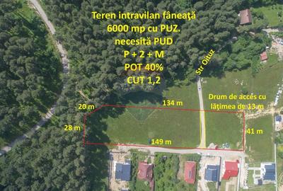 Teren Construcții intravilan de 6000 mp, în Poiana Angelescu - 11