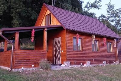 Casă cu 4 camere în Săliștea