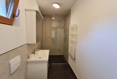 Casă individuală cu 6 camere cu Canalizare în Bogdăneștilor - 13