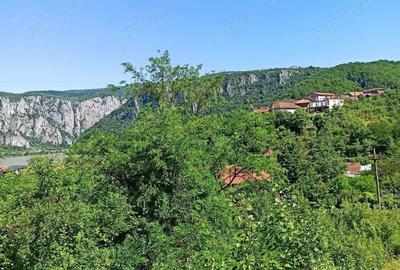 Teren de 1243 mp, în Dubova