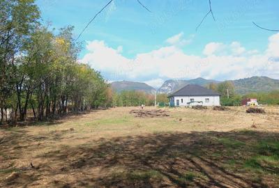 Teren de 3729 mp, în Polovragi - 1