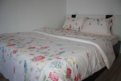 Apartament cu 2 camere decomandat în Drumul Carului - 7