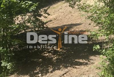 Teren de 2000 mp, în Teșila