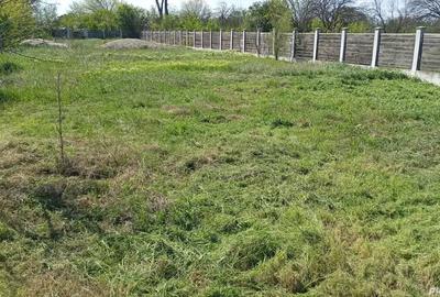 Teren de 600 mp, în Slătioara - 3