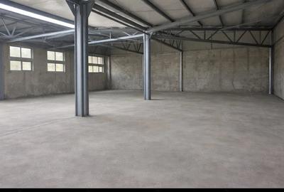 Spațiu comercial, de 300 mp, în Colentina