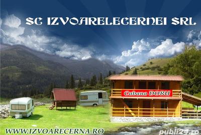 Teren de 5500 mp, în Cerna-Sat - 8