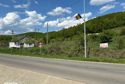 Teren de 1000 mp, în Ciurila - 1