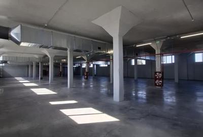 Spațiu industrial, de 492 mp, în Someșeni - 3