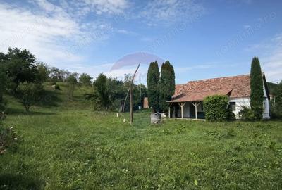 Casă cu Teren 1138 Mp în Moardăș - 4