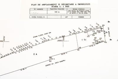 Teren Construcții intravilan de 970 mp, în Comana - 2