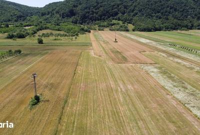 Teren de 5000 mp, în Măgureni - 8