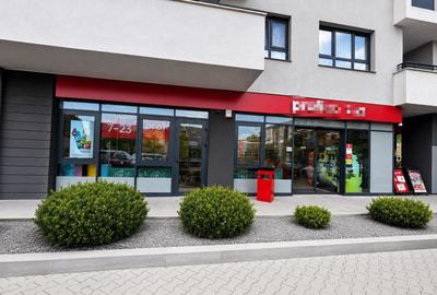 Spațiu comercial, de 294.79998779297 mp, în Nufărul