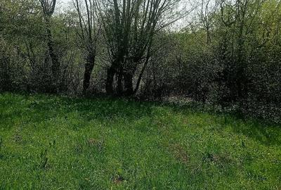 Teren de 4 mp, în Calea Mare - 1