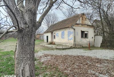 Casă cu Teren 1355 Mp în Ștrand