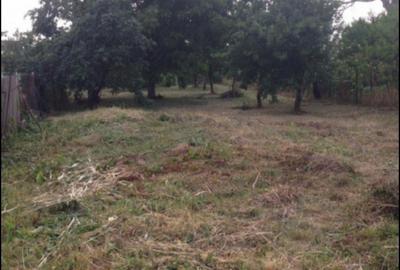 Casă cu 3 camere în Pleașa